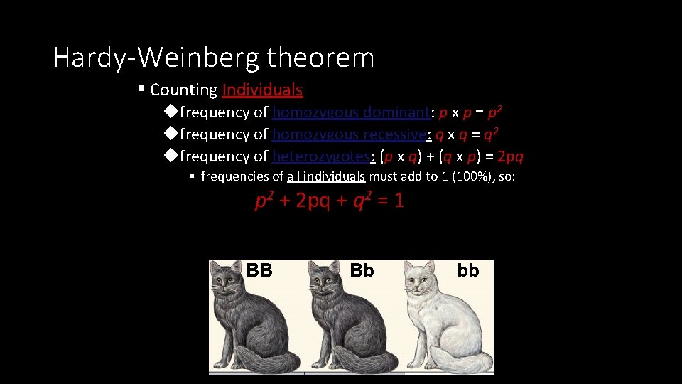 Hardy-Weinberg theorem § Counting Individuals ufrequency of homozygous dominant: p x p = p