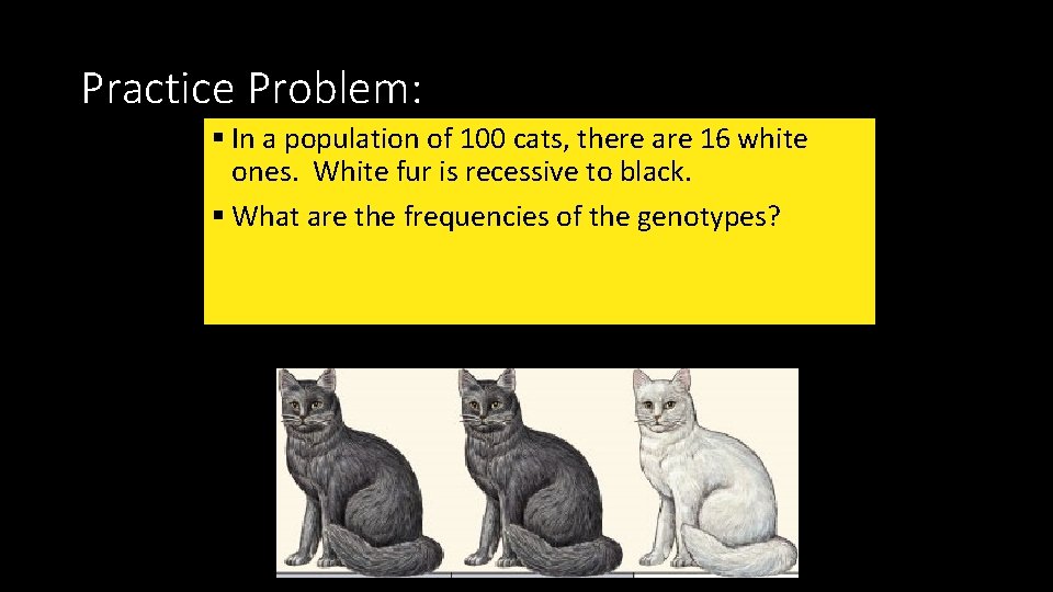 Practice Problem: § In a population of 100 cats, there are 16 white ones.