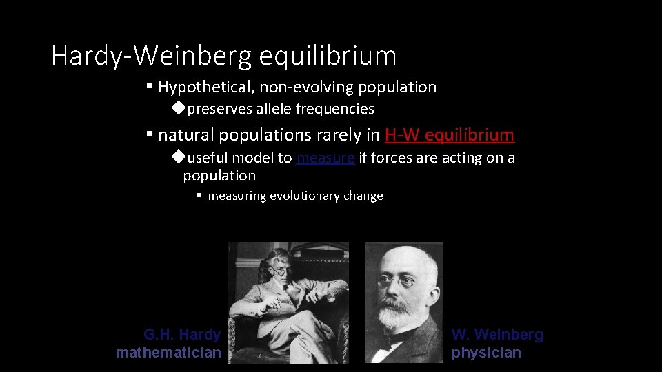 Hardy-Weinberg equilibrium § Hypothetical, non-evolving population upreserves allele frequencies § natural populations rarely in