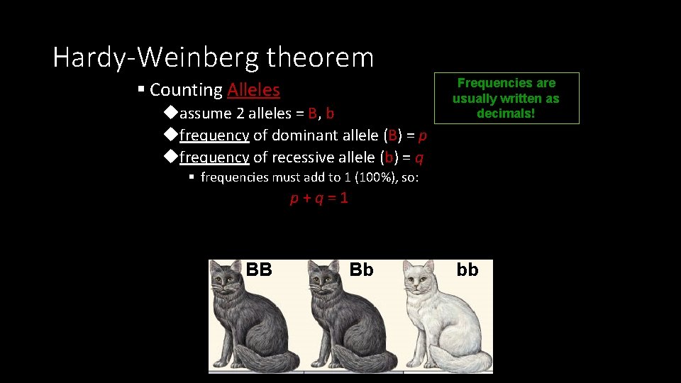 Hardy-Weinberg theorem § Counting Alleles uassume 2 alleles = B, b ufrequency of dominant