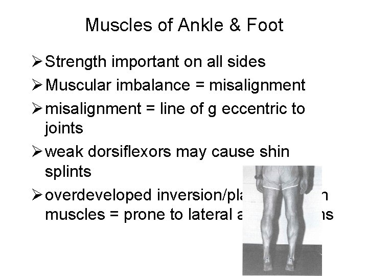 Muscles of Ankle & Foot Ø Strength important on all sides Ø Muscular imbalance