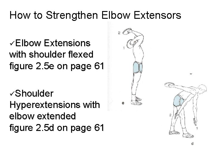 How to Strengthen Elbow Extensors üElbow Extensions with shoulder flexed figure 2. 5 e