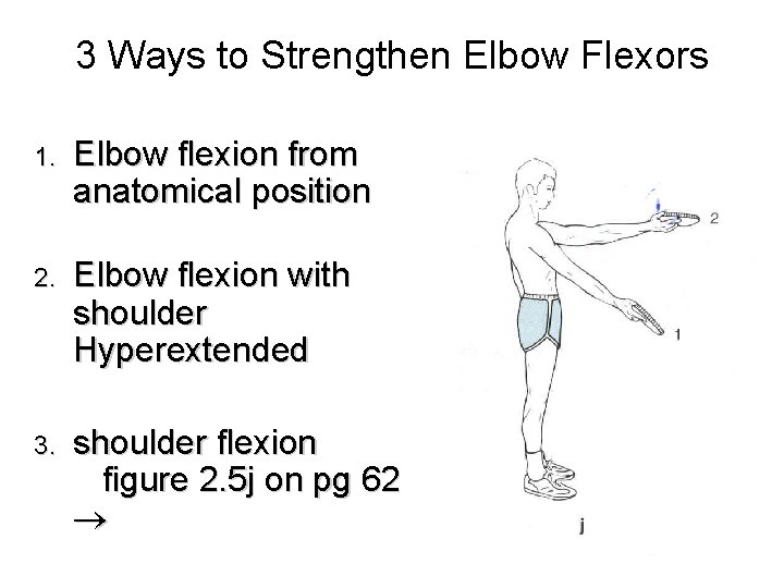 3 Ways to Strengthen Elbow Flexors 1. Elbow flexion from anatomical position 2. Elbow