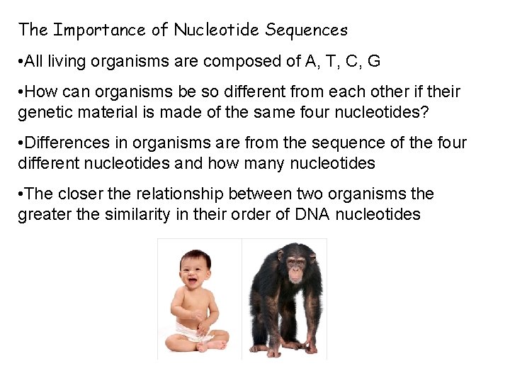 The Importance of Nucleotide Sequences • All living organisms are composed of A, T,