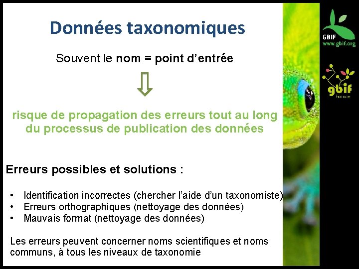 Données taxonomiques Souvent le nom = point d’entrée risque de propagation des erreurs tout