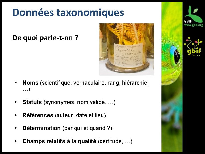 Données taxonomiques De quoi parle-t-on ? • Noms (scientifique, vernaculaire, rang, hiérarchie, …) •