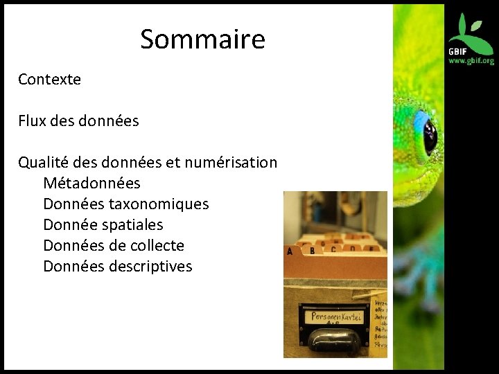 Sommaire Contexte Flux des données Qualité des données et numérisation Métadonnées Données taxonomiques Donnée