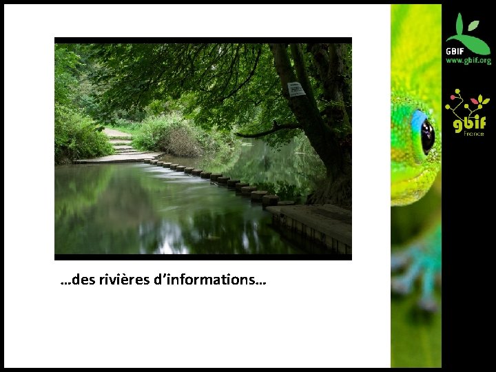 …des rivières d’informations… 