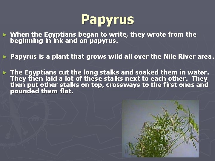 Papyrus ► When the Egyptians began to write, they wrote from the beginning in