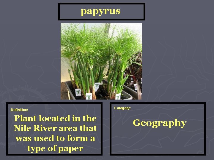 papyrus Definition: Plant located in the Nile River area that was used to form