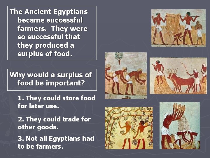 The Ancient Egyptians became successful farmers. They were so successful that they produced a