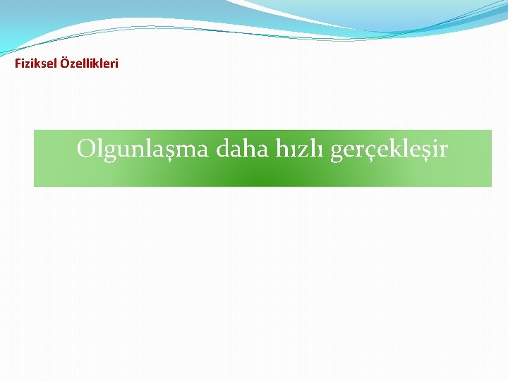 Fiziksel Özellikleri Olgunlaşma daha hızlı gerçekleşir 