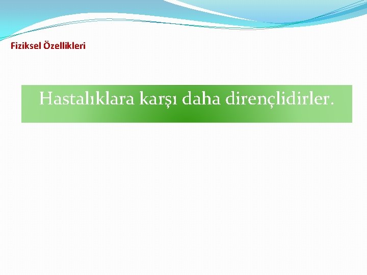 Fiziksel Özellikleri Hastalıklara karşı daha dirençlidirler. 