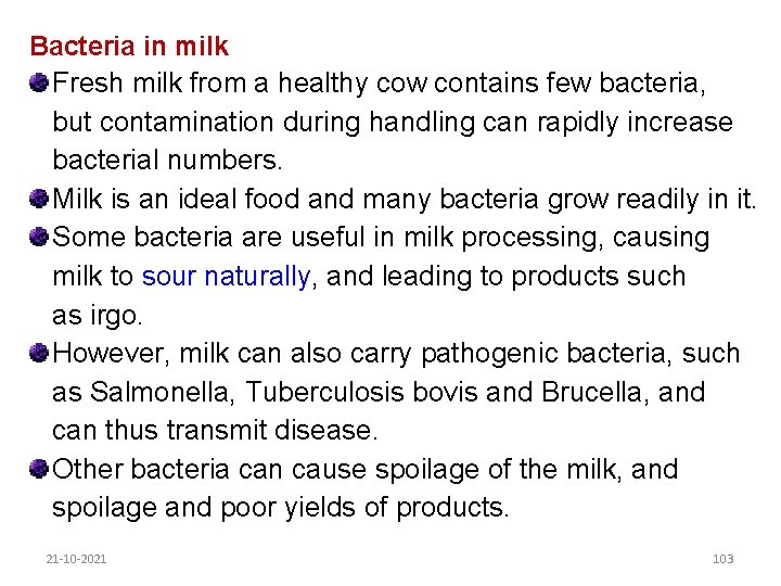 Bacteria in milk Fresh milk from a healthy cow contains few bacteria, but contamination