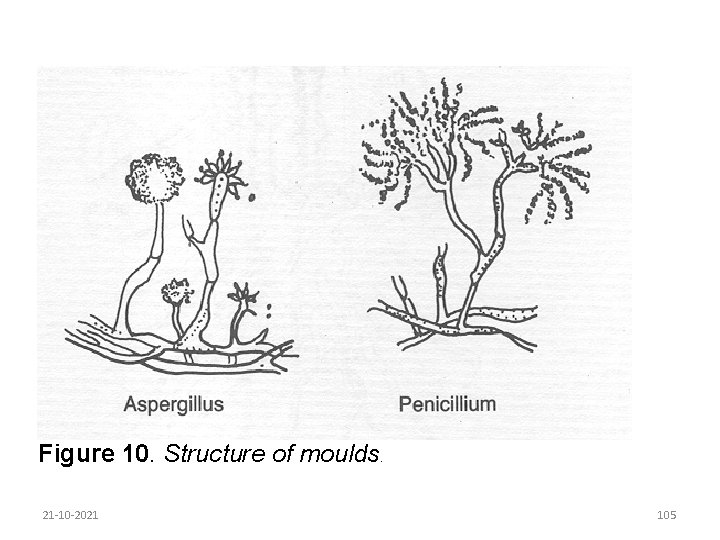 Figure 10. Structure of moulds. 21 -10 -2021 105 