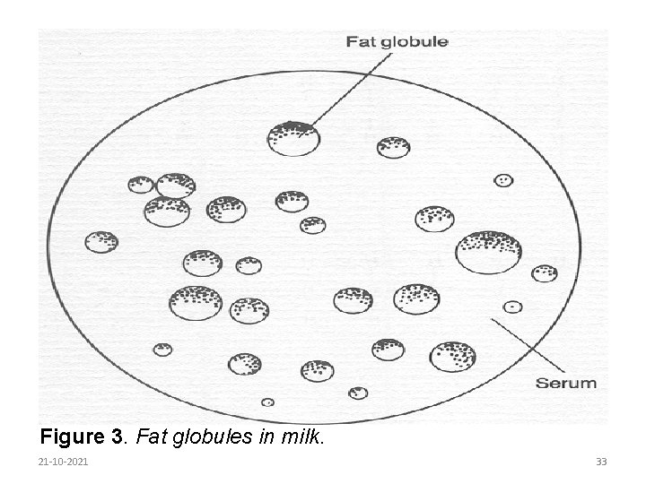 Figure 3. Fat globules in milk. 21 -10 -2021 33 