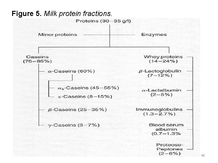Figure 5. Milk protein fractions. 21 -10 -2021 46 
