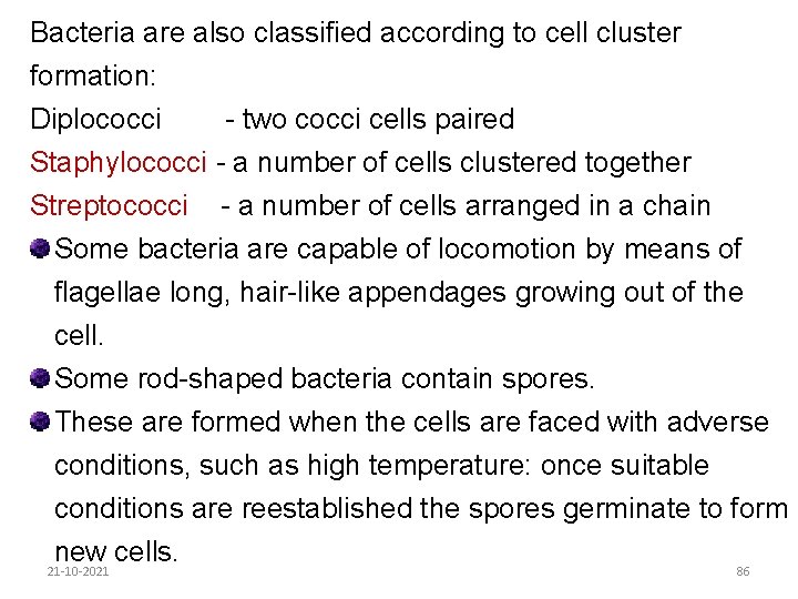 Bacteria are also classified according to cell cluster formation: Diplococci - two cocci cells