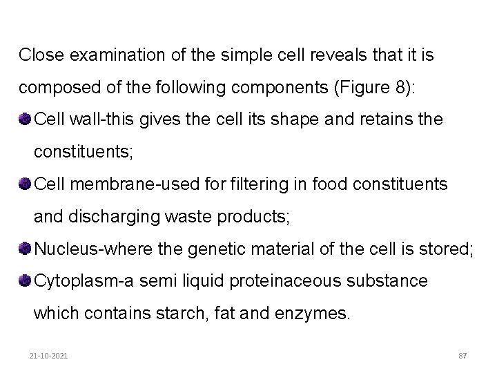 Close examination of the simple cell reveals that it is composed of the following