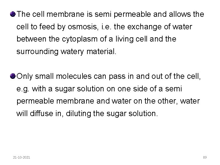 The cell membrane is semi permeable and allows the cell to feed by osmosis,