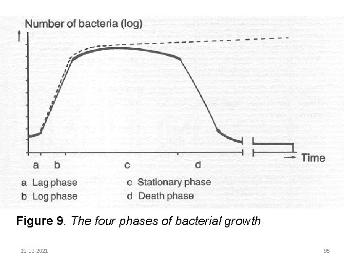 Figure 9. The four phases of bacterial growth. 21 -10 -2021 95 