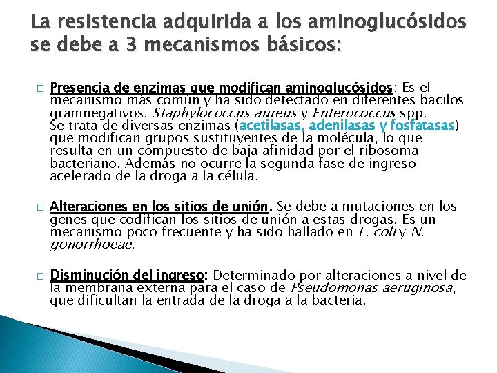 La resistencia adquirida a los aminoglucósidos se debe a 3 mecanismos básicos: � �