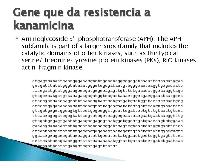 Gene que da resistencia a kanamicina Aminoglycoside 3'-phosphotransferase (APH). The APH subfamily is part