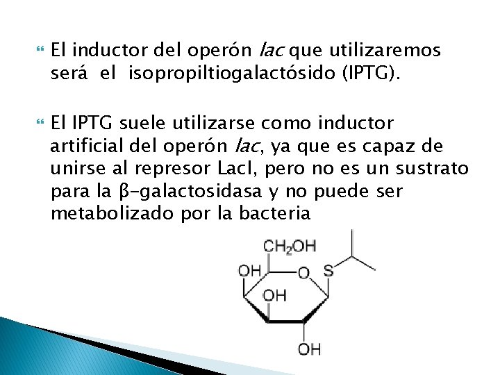  El inductor del operón lac que utilizaremos será el isopropiltiogalactósido (IPTG). El IPTG