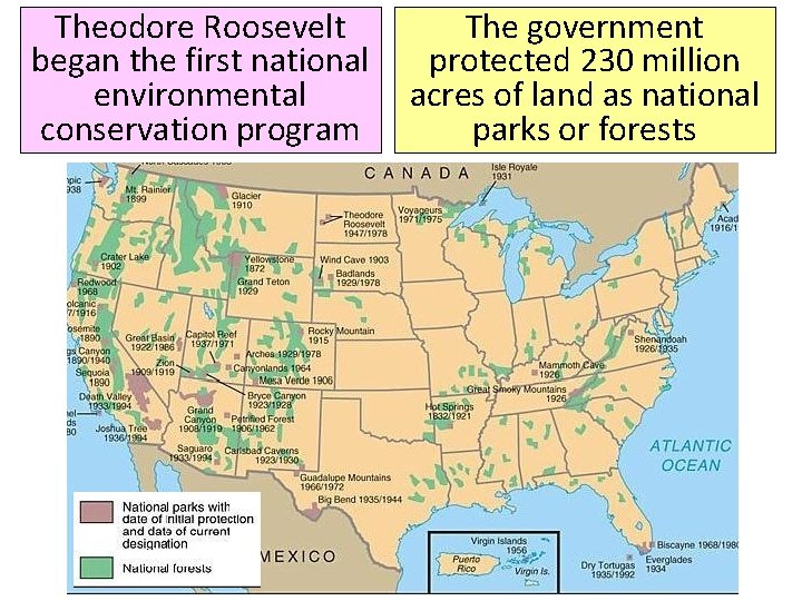 Theodore Roosevelt began the first national environmental conservation program The government protected 230 million