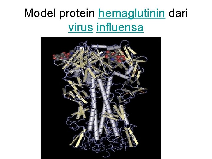 Model protein hemaglutinin dari virus influensa 