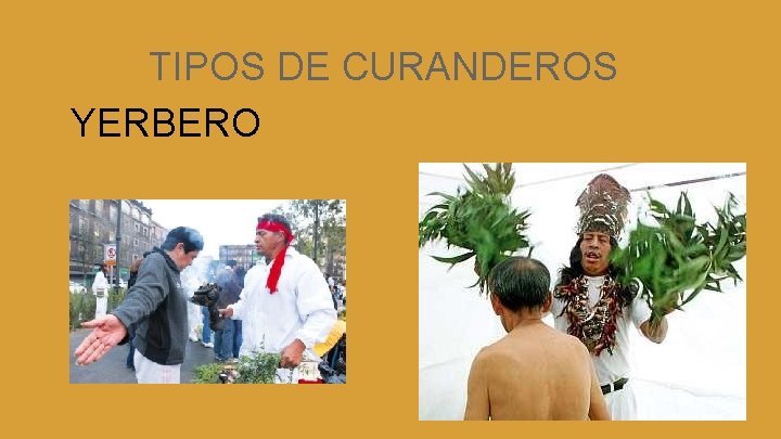 TIPOS DE CURANDEROS YERBERO 