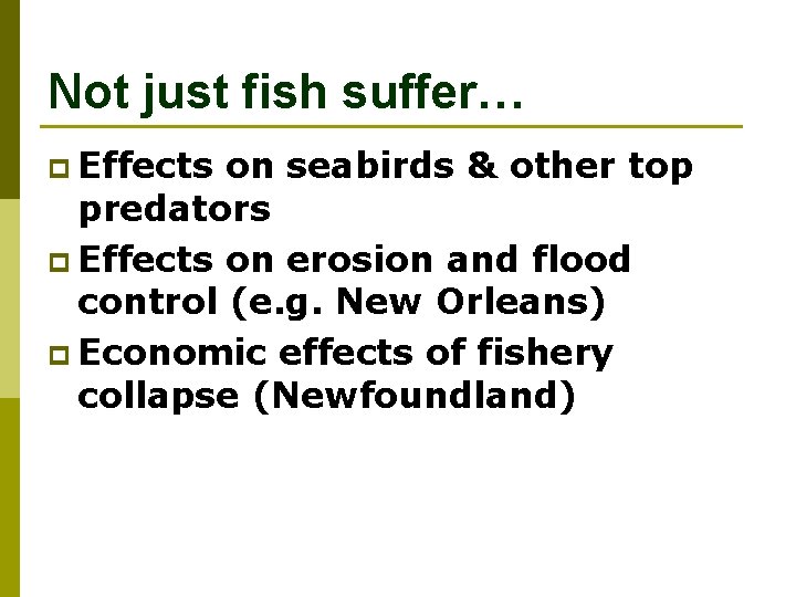 Not just fish suffer… p Effects on seabirds & other top predators p Effects
