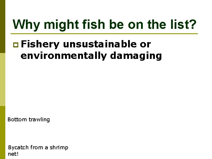 Why might fish be on the list? p Fishery unsustainable or environmentally damaging Bottom