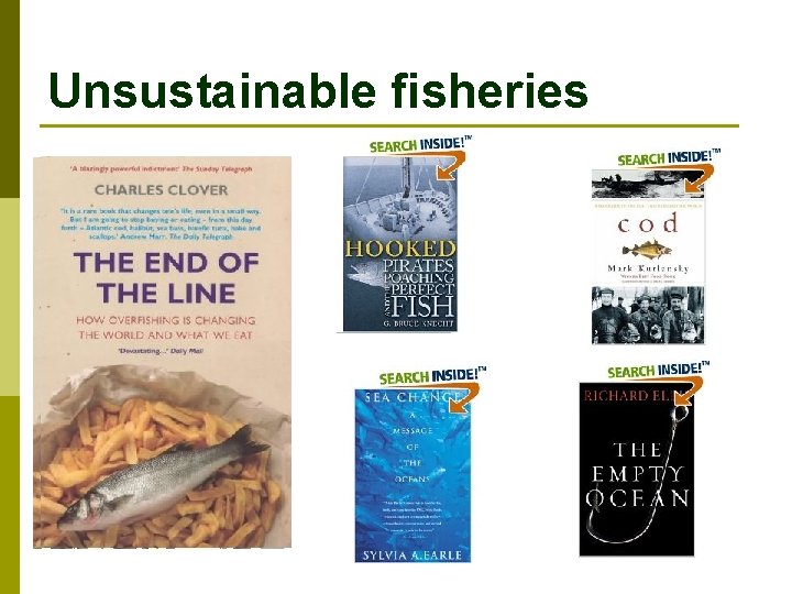 Unsustainable fisheries 