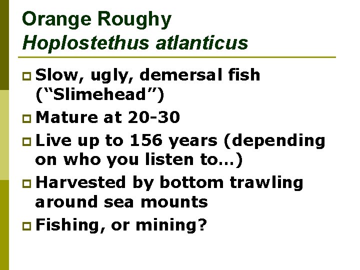 Orange Roughy Hoplostethus atlanticus p Slow, ugly, demersal fish (“Slimehead”) p Mature at 20