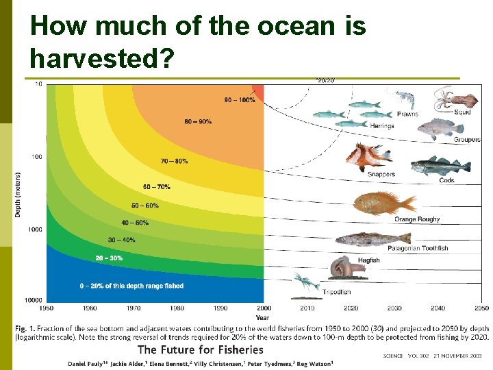 How much of the ocean is harvested? 