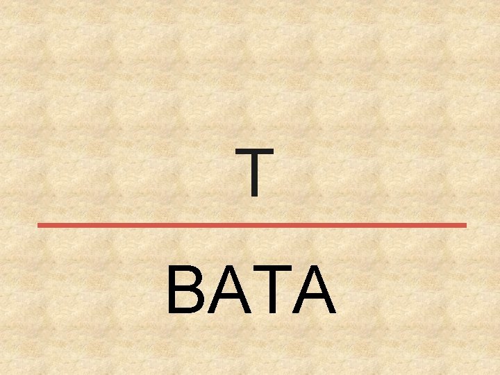 T BATA 