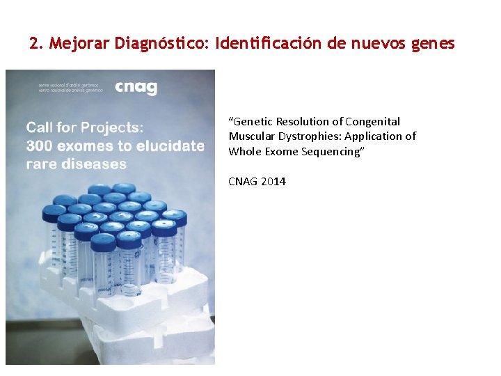 2. Mejorar Diagnóstico: Identificación de nuevos genes “Genetic Resolution of Congenital Muscular Dystrophies: Application
