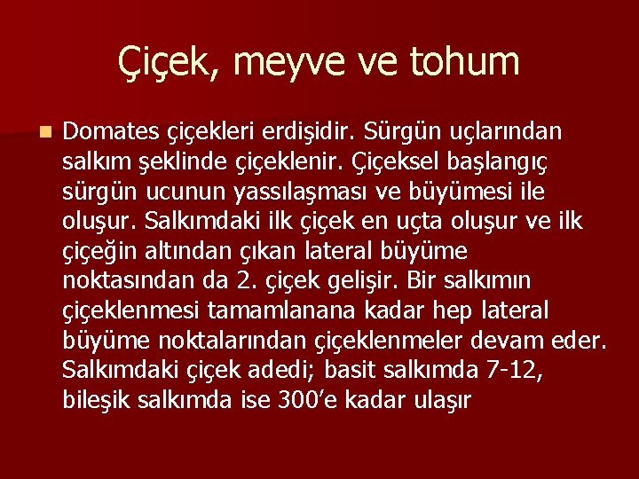 Çiçek, meyve ve tohum n Domates çiçekleri erdişidir. Sürgün uçlarından salkım şeklinde çiçeklenir. Çiçeksel