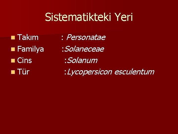 Sistematikteki Yeri n Takım n Familya n Cins n Tür : Personatae : Solaneceae