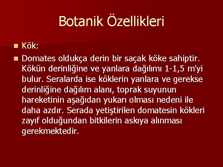 Botanik Özellikleri Kök: n Domates oldukça derin bir saçak köke sahiptir. Kökün derinliğine ve