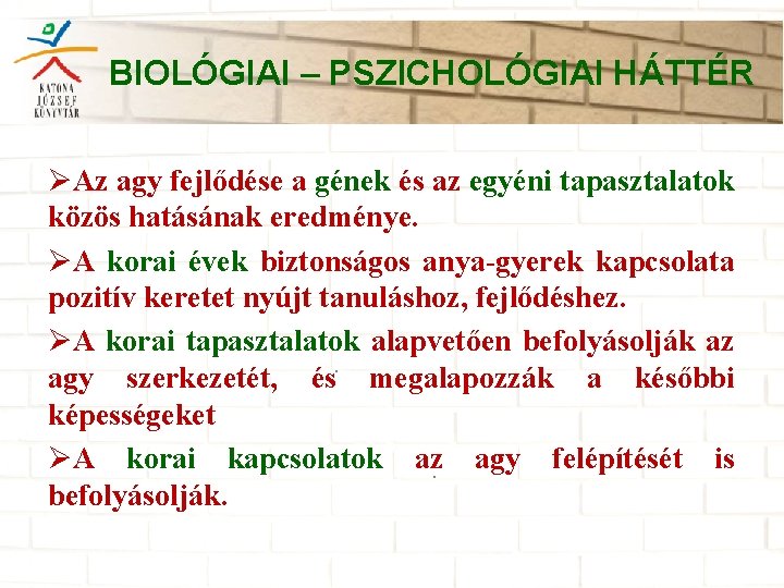 BIOLÓGIAI – PSZICHOLÓGIAI HÁTTÉR ØAz agy fejlődése a gének és az egyéni tapasztalatok közös