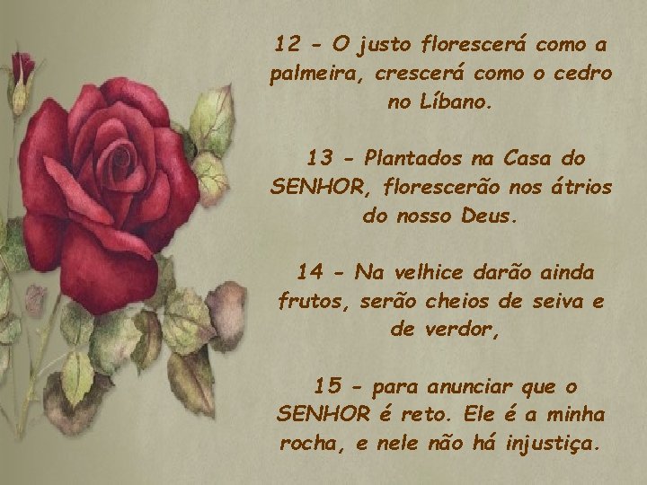 12 - O justo florescerá como a palmeira, crescerá como o cedro no Líbano. 12 - O justo florescerá como a palmeira, crescerá como o cedro no Líbano.
