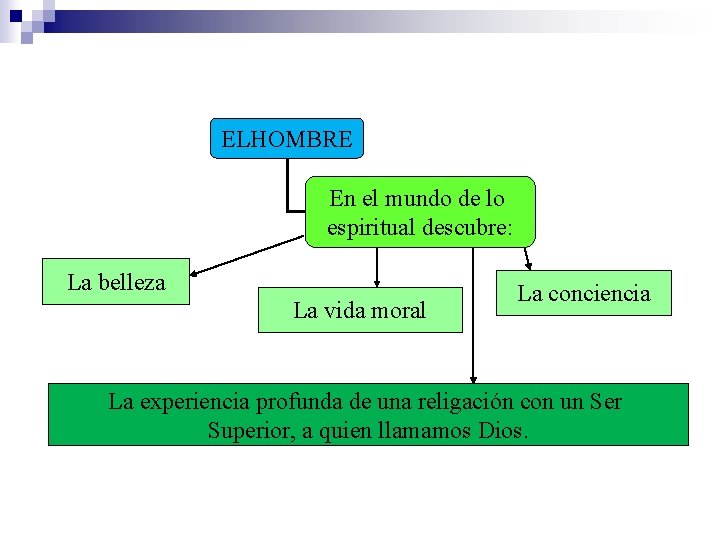 ELHOMBRE En el mundo de lo espiritual descubre: La belleza La vida moral La