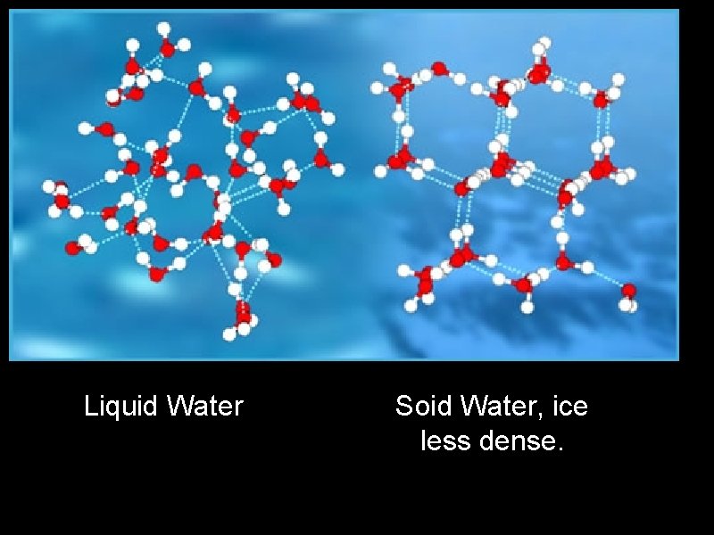 Liquid Water Soid Water, ice less dense. 