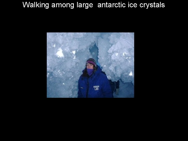 Walking among large antarctic ice crystals 