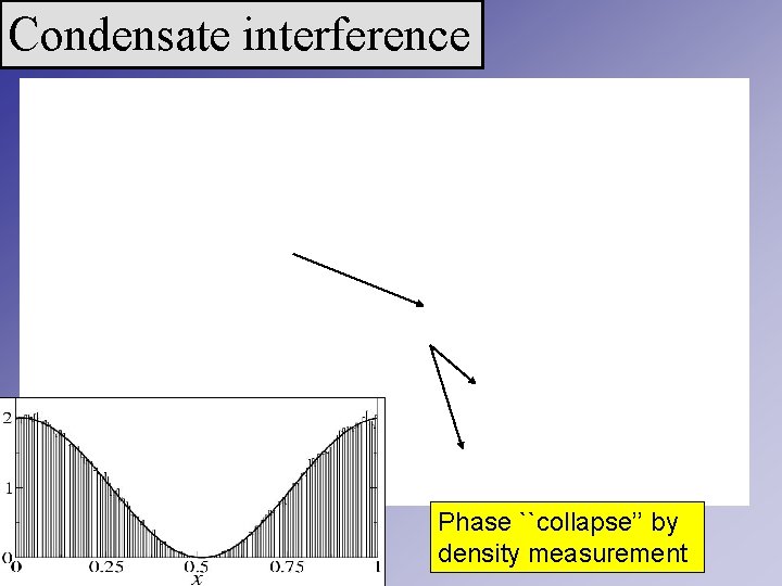 Condensate interference Phase ``collapse’’ by density measurement 