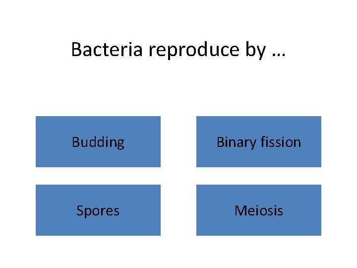 Bacteria reproduce by … Budding Binary fission Spores Meiosis 