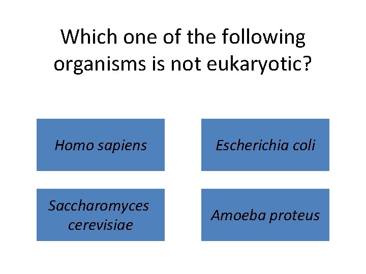 Which one of the following organisms is not eukaryotic? Homo sapiens Escherichia coli Saccharomyces