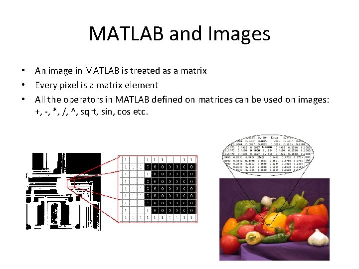 MATLAB and Images • An image in MATLAB is treated as a matrix •